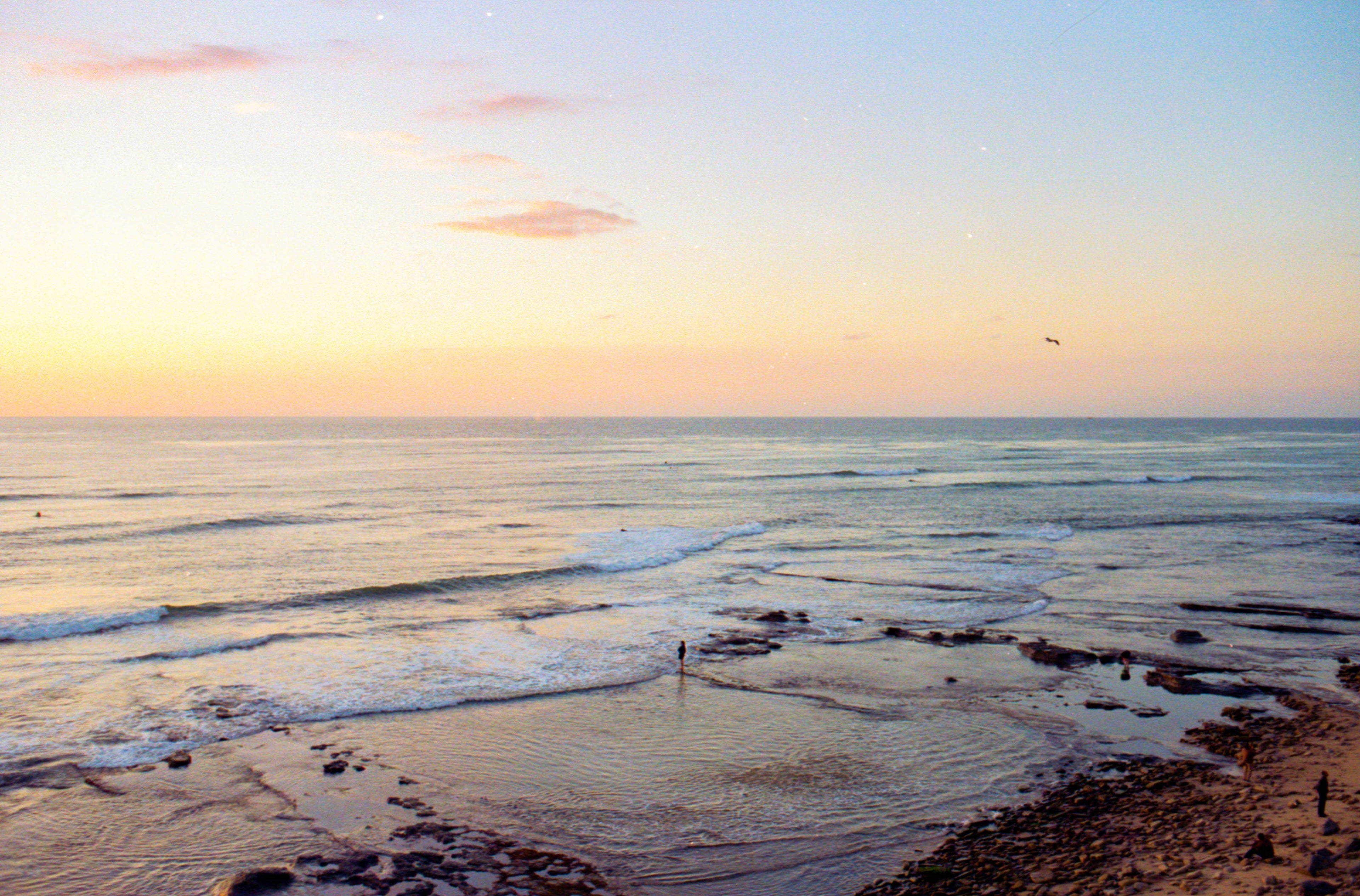 Lifting the Haze: 7 Science-Backed Ways to Eliminate Brain Fog