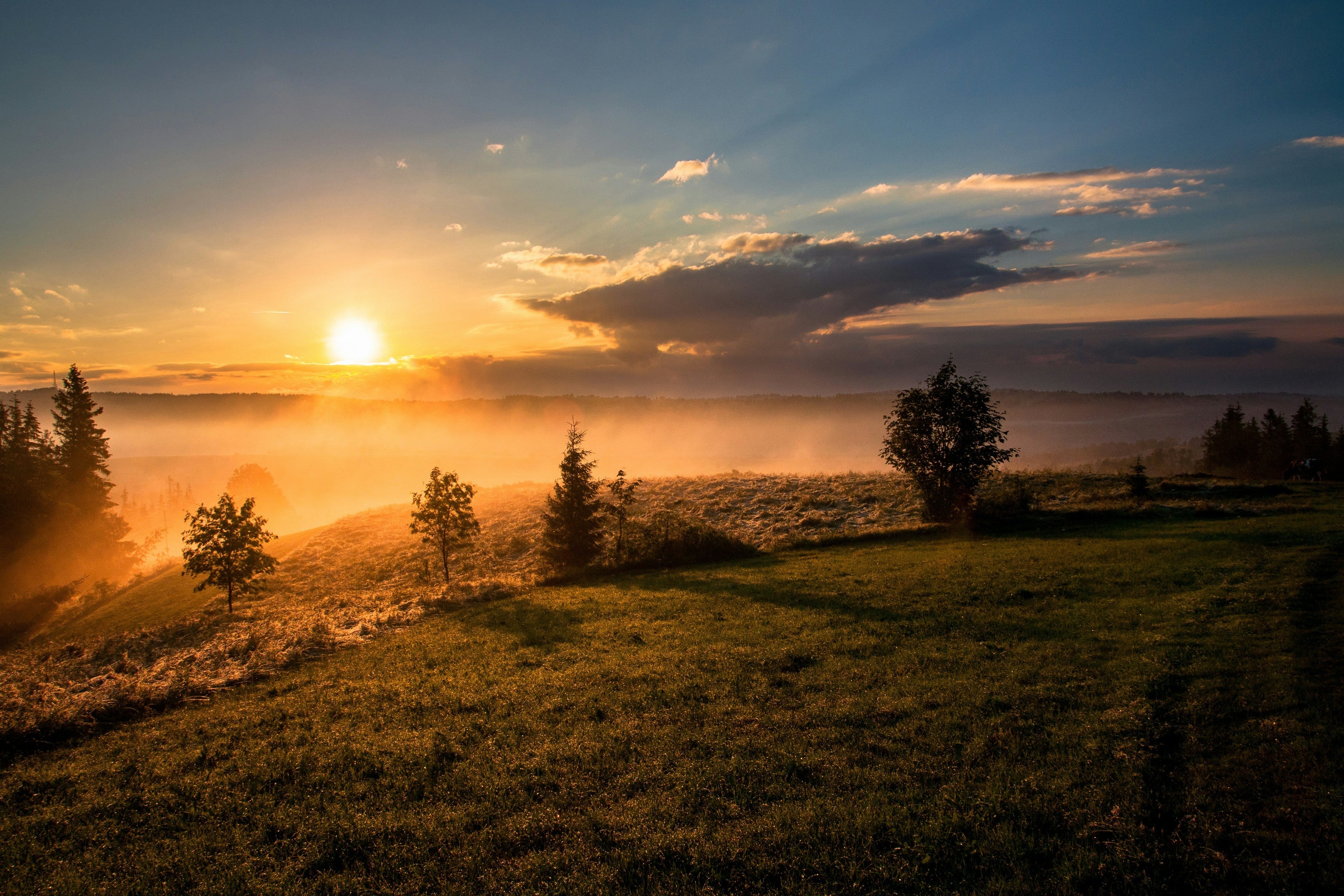 The Entrepreneur's Morning Stack: What High Performers Take Before 9am