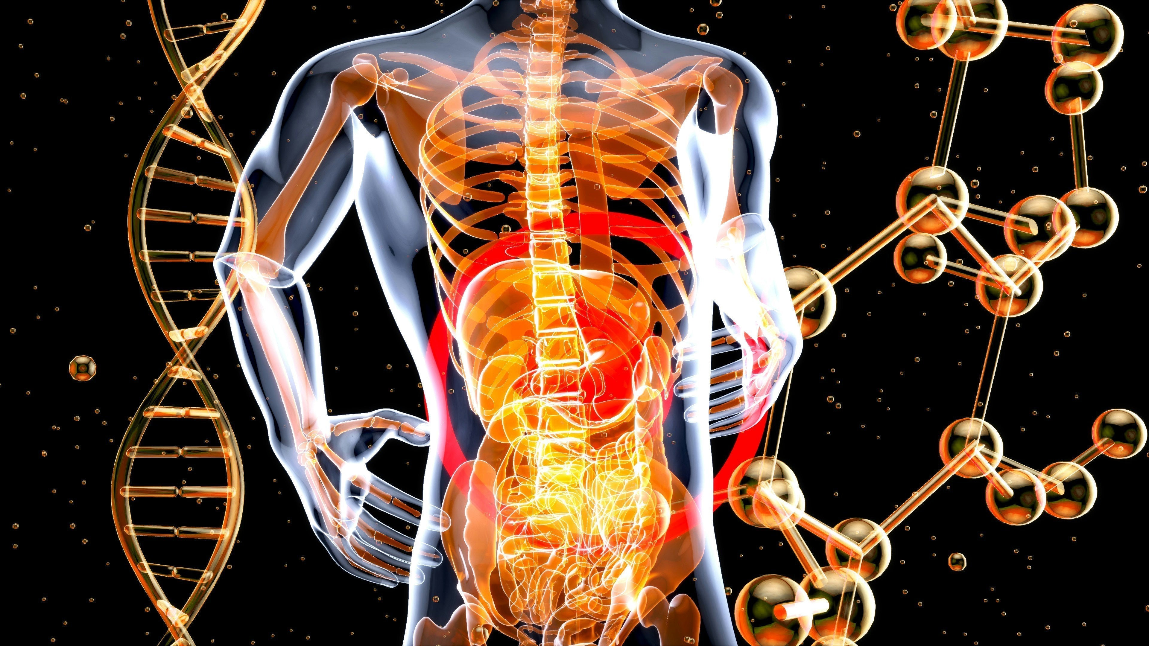 Why Your Gut — Not a Prescription — Might Be the Key to Lasting Metabolic Health