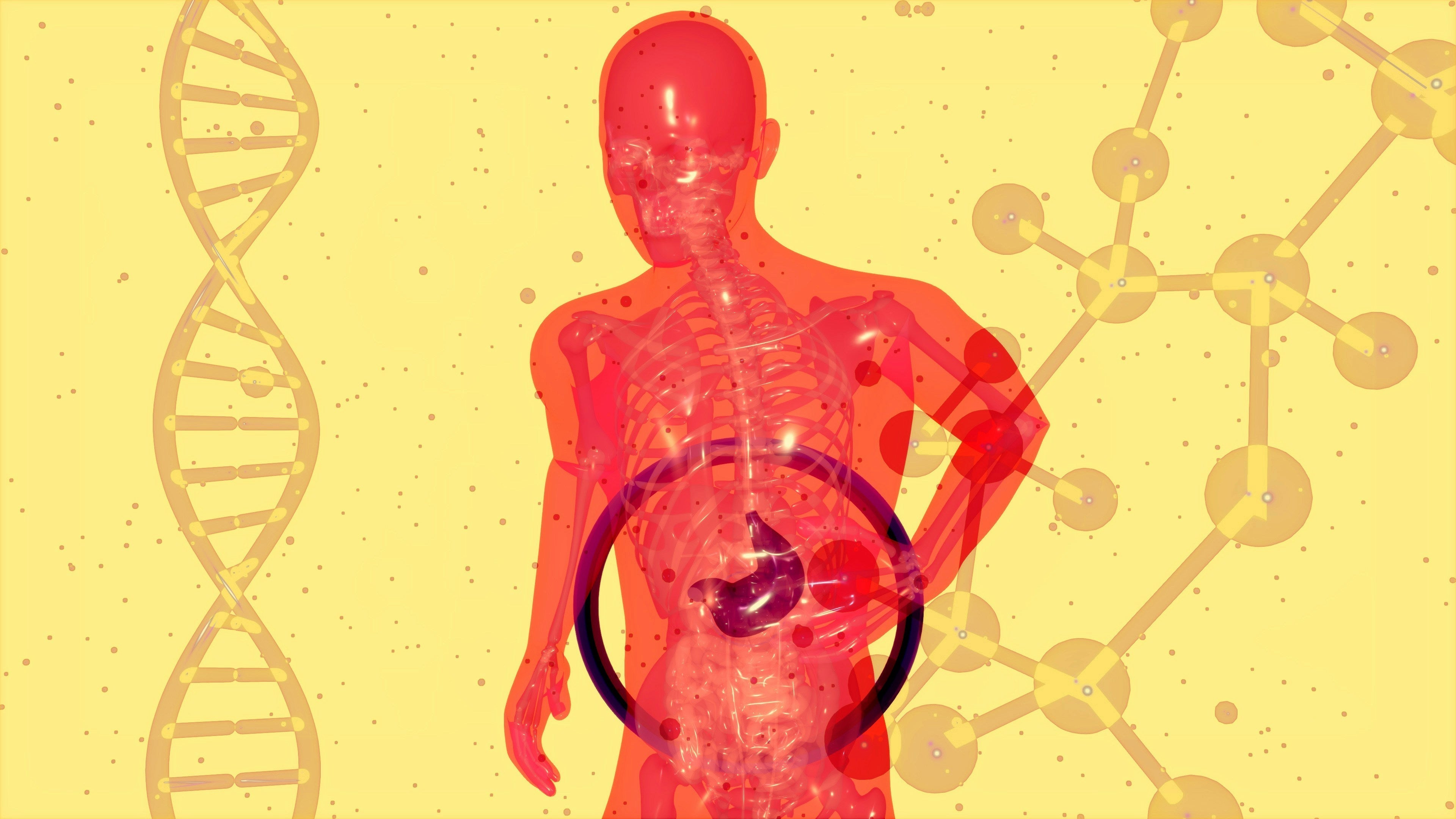 Gut Health for Athletes: Why Your Gut Is Destroying Your Performance