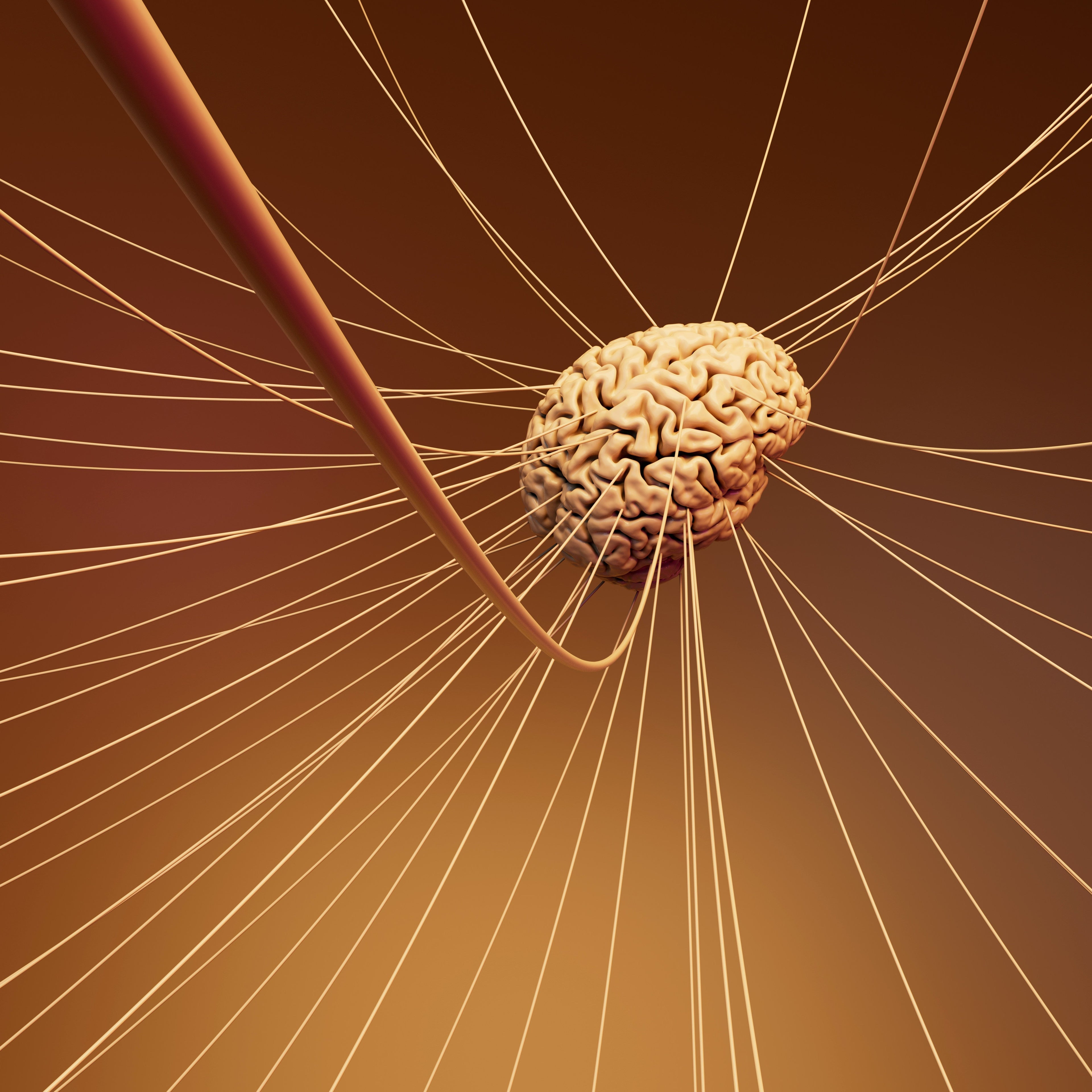 The Real Key to Energy Isn't in a Can — It's in Your Nervous System